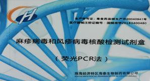 麻疹病毒和风疹病毒核酸检测试剂盒（荧光PCR法）